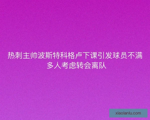 热刺主帅波斯特科格卢下课引发球员不满 多人考虑转会离队 热刺主帅波斯特科格卢下课引发球员不满 多人考虑转会离队