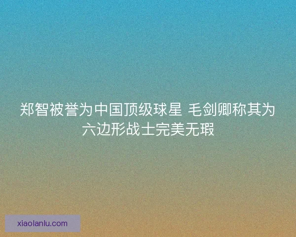 郑智被誉为中国顶级球星 毛剑卿称其为六边形战士完美无瑕