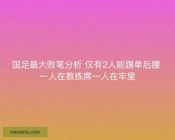 国足最大败笔分析 仅有2人能踢单后腰 一人在教练席一人在牢里