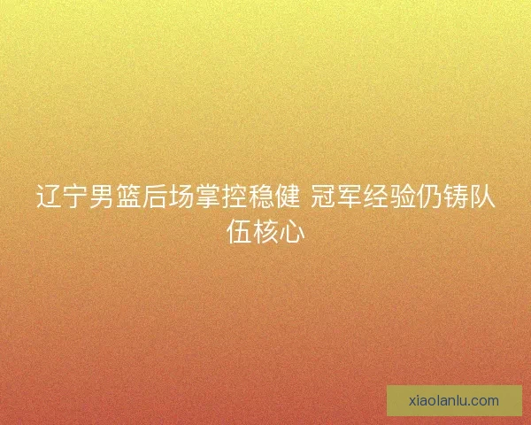 辽宁男篮后场掌控稳健 冠军经验仍铸队伍核心