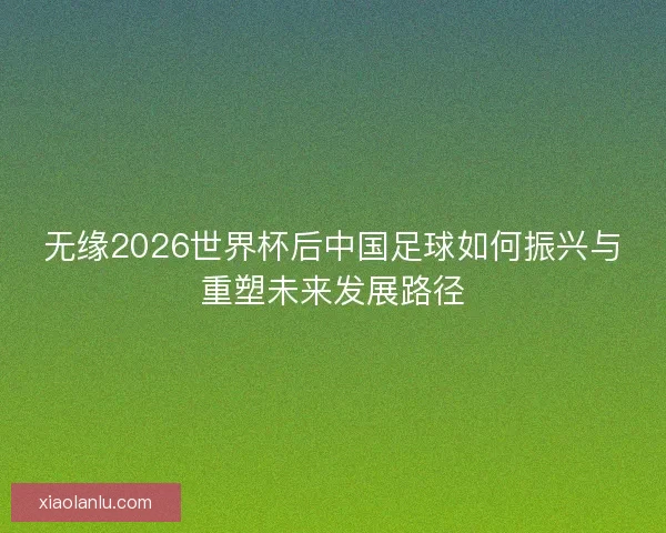 无缘2026世界杯后中国足球如何振兴与重塑未来发展路径