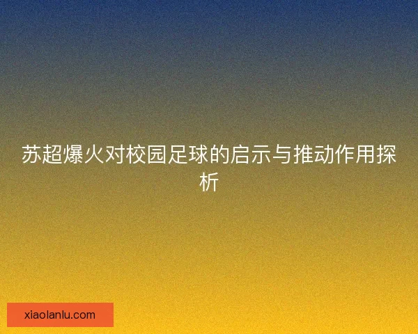 苏超爆火对校园足球的启示与推动作用探析