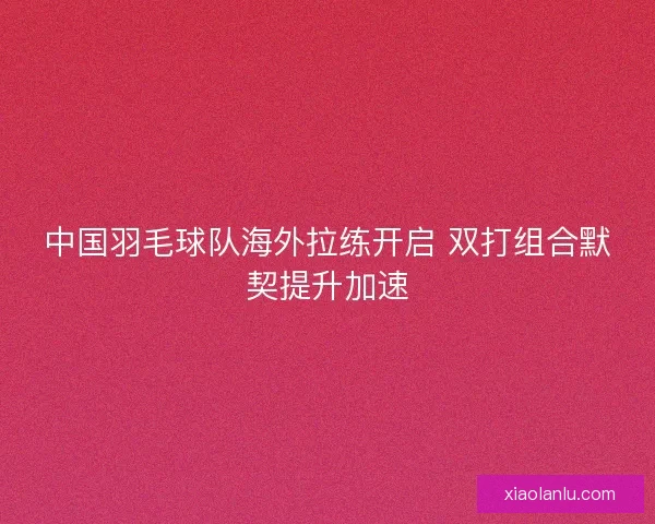 中国羽毛球队海外拉练开启 双打组合默契提升加速