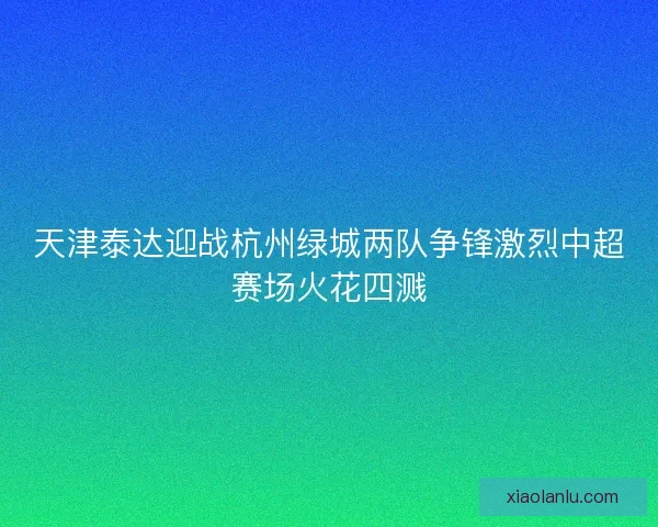 天津泰达迎战杭州绿城两队争锋激烈中超赛场火花四溅